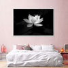 Lotus Flower Monochrome Wall Art