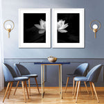 Lotus Flower Monochrome Wall Art