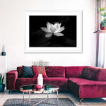 Lotus Flower Monochrome Wall Art