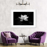 Lotus Flower Monochrome Wall Art