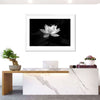 Lotus Flower Monochrome Wall Art
