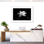 Lotus Flower Monochrome Wall Art
