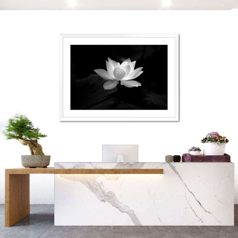 Lotus Flower Monochrome Wall Art