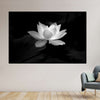 Lotus Flower Monochrome Wall Art