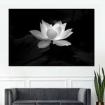Lotus Flower Monochrome Wall Art