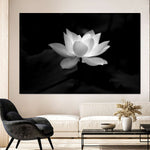 Lotus Flower Monochrome Wall Art