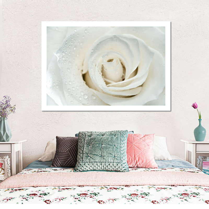 White Rose Close Up Wall Art