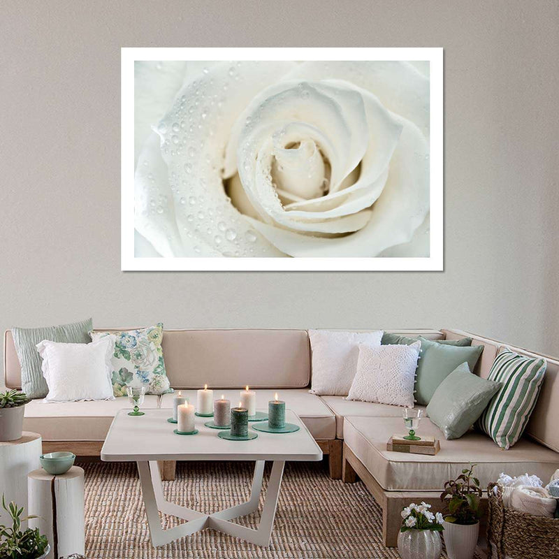 White Rose Close Up Wall Art
