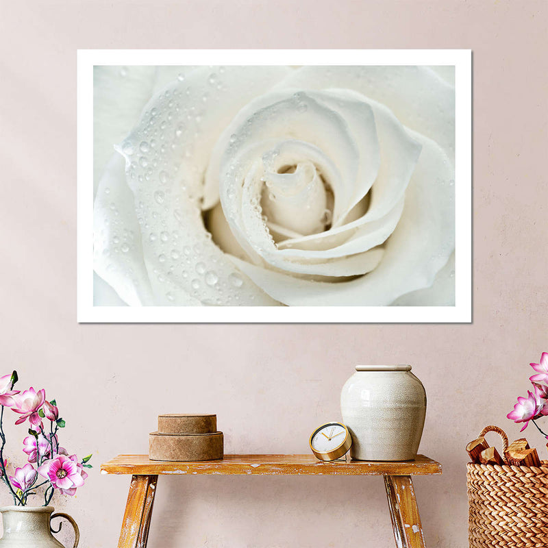 White Rose Close Up Wall Art