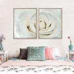 White Rose Close Up Wall Art