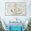 White Rose Close Up Wall Art