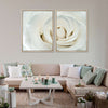 White Rose Close Up Wall Art