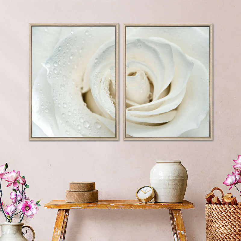 White Rose Close Up Wall Art