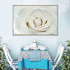 White Rose Close Up Wall Art
