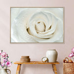White Rose Close Up Wall Art