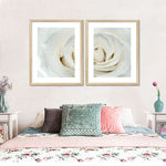 White Rose Close Up Wall Art