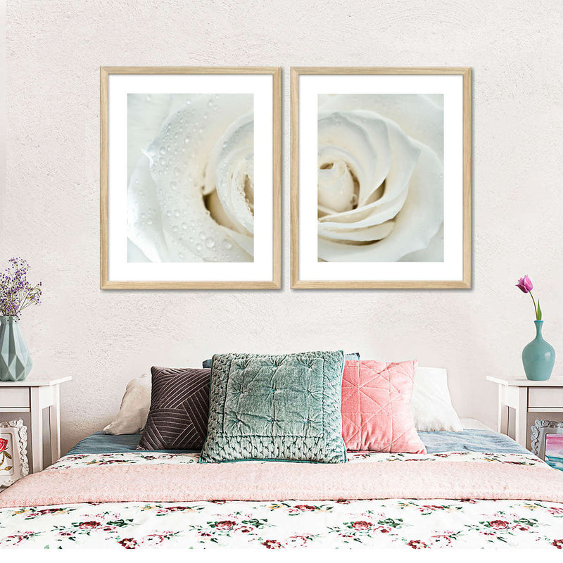 White Rose Close Up Wall Art