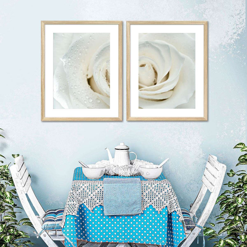 White Rose Close Up Wall Art