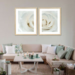 White Rose Close Up Wall Art