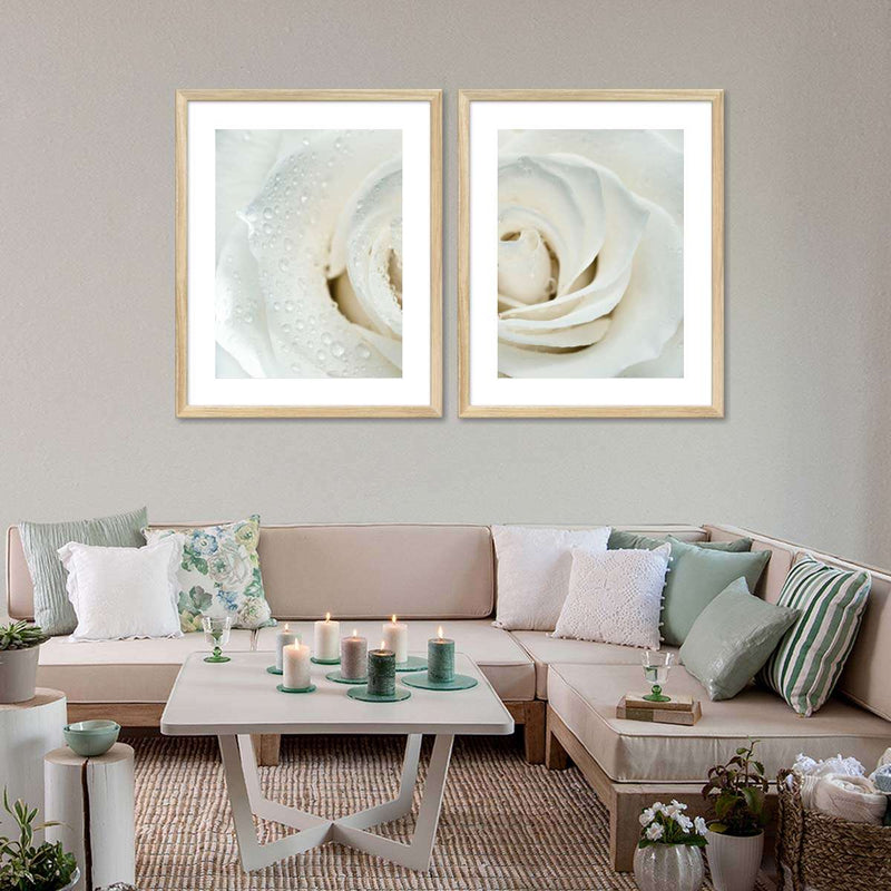 White Rose Close Up Wall Art