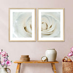 White Rose Close Up Wall Art