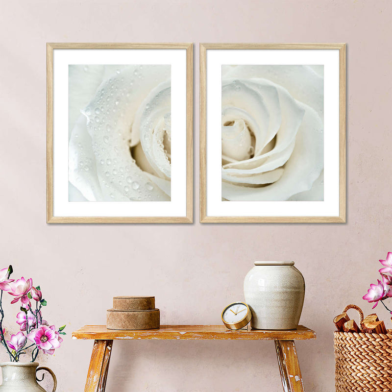 White Rose Close Up Wall Art