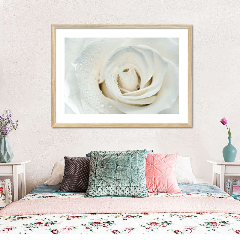 White Rose Close Up Wall Art