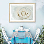 White Rose Close Up Wall Art