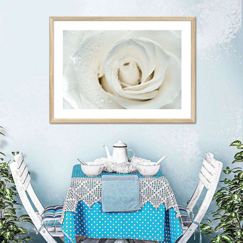 White Rose Close Up Wall Art