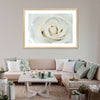 White Rose Close Up Wall Art