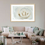 White Rose Close Up Wall Art