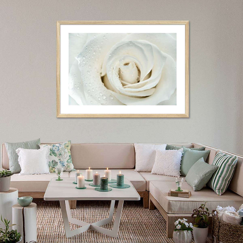 White Rose Close Up Wall Art
