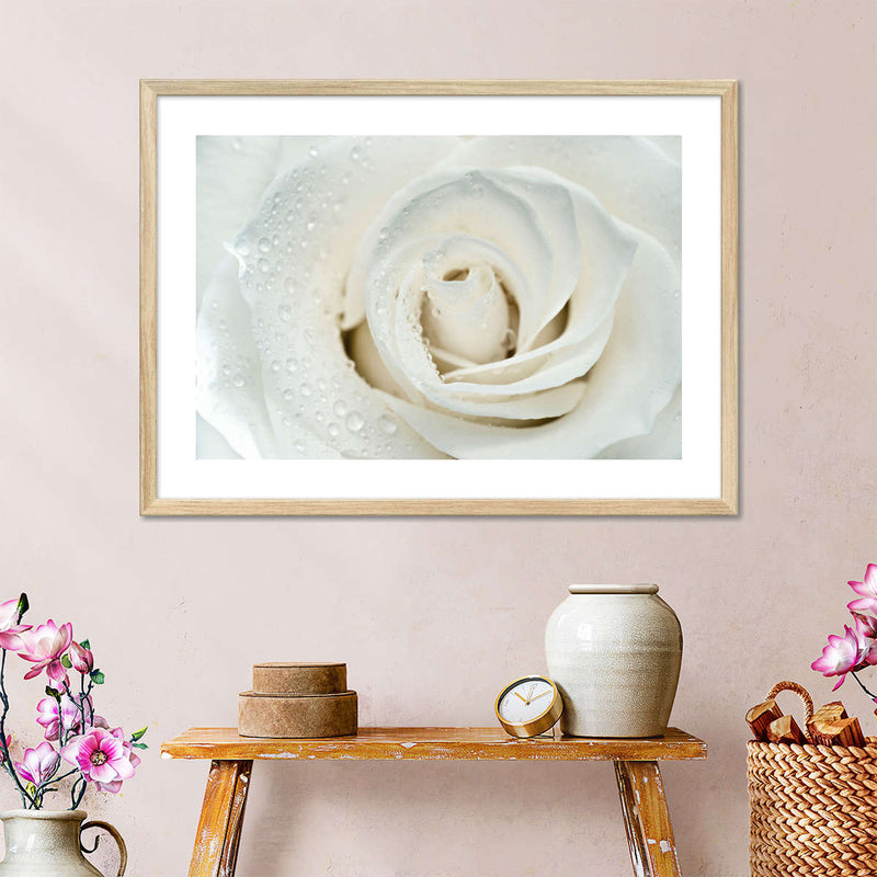 White Rose Close Up Wall Art