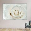White Rose Close Up Wall Art