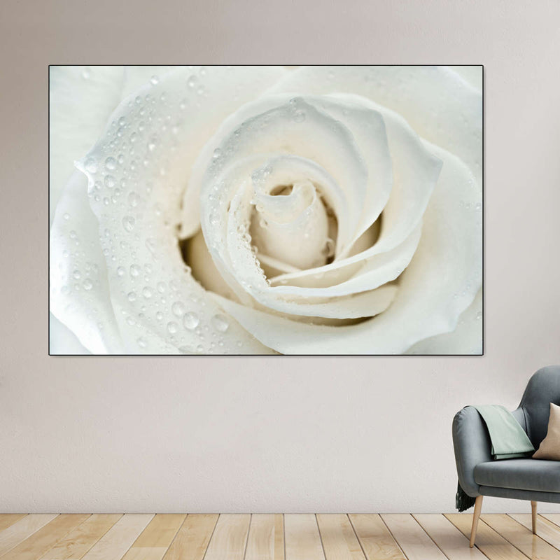White Rose Close Up Wall Art