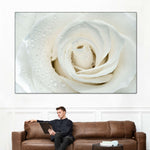 White Rose Close Up Wall Art