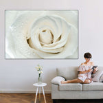 White Rose Close Up Wall Art