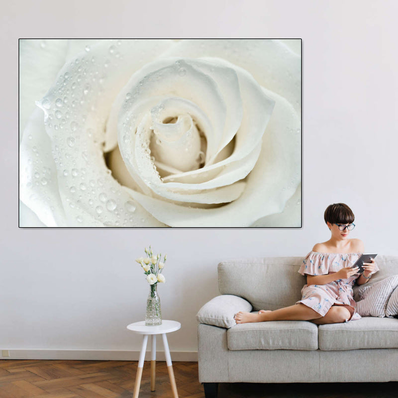 White Rose Close Up Wall Art