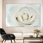 White Rose Close Up Wall Art
