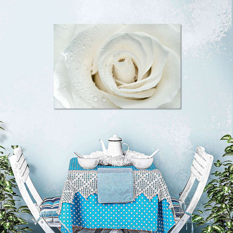 White Rose Close Up Wall Art