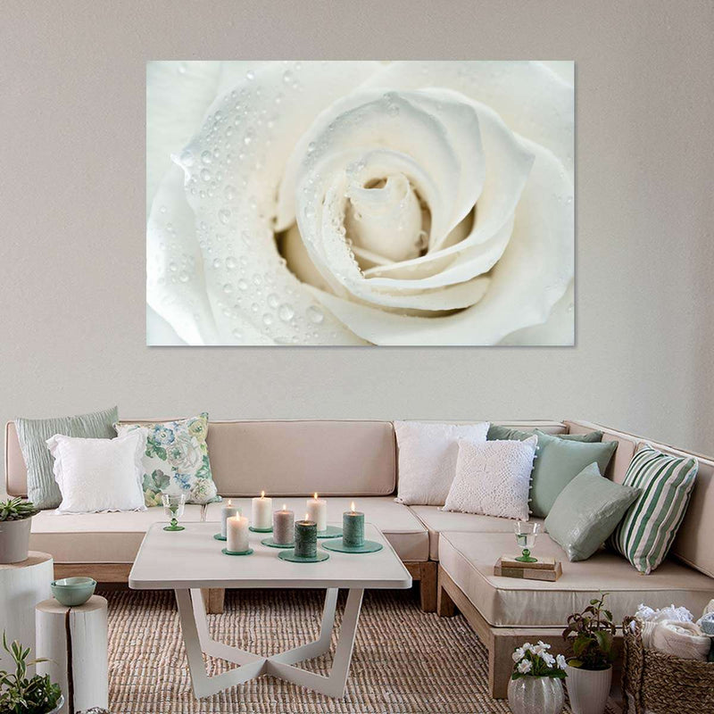 White Rose Close Up Wall Art