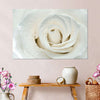 White Rose Close Up Wall Art