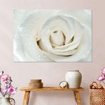 White Rose Close Up Wall Art