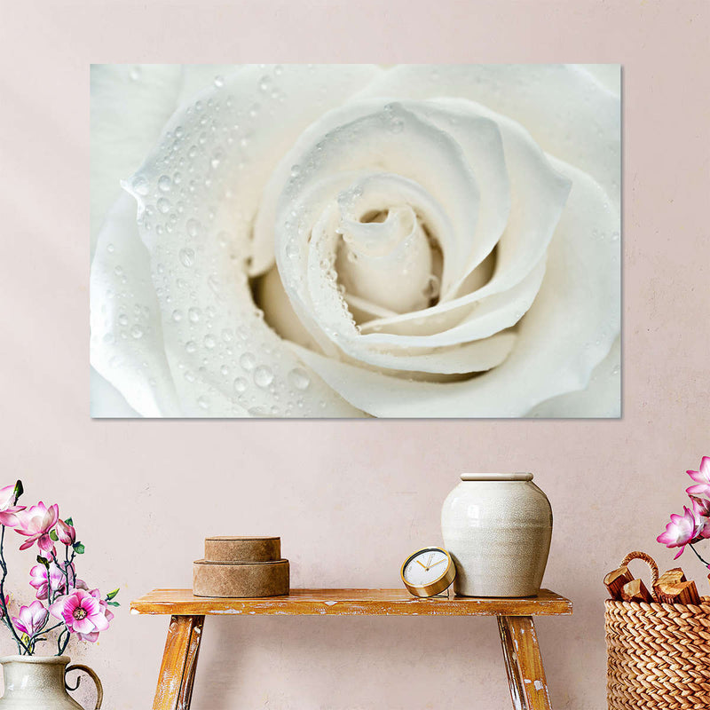 White Rose Close Up Wall Art