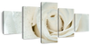 White Rose Close Up Wall Art