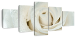 White Rose Close Up Wall Art