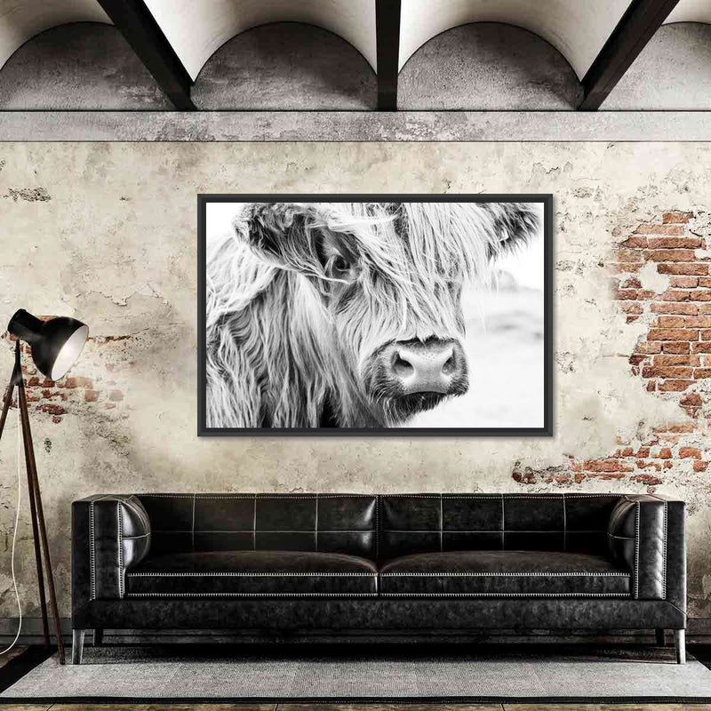 Long Haired Cow Wall Art