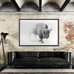 Wild Bison Wall Art