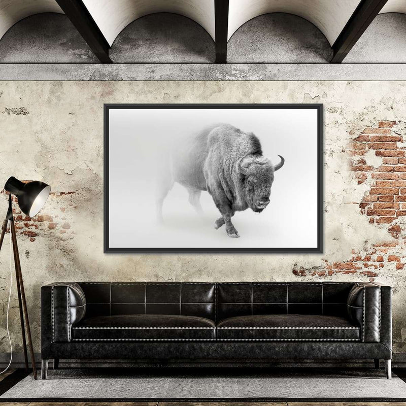 Wild Bison Wall Art
