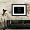 Rare Black Panther Wall Art